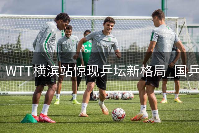 WTT横滨站惊现乒坛新格局 国乒小将孤军奋战破重围